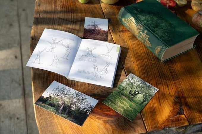 Practical Pomology: A Field Guide