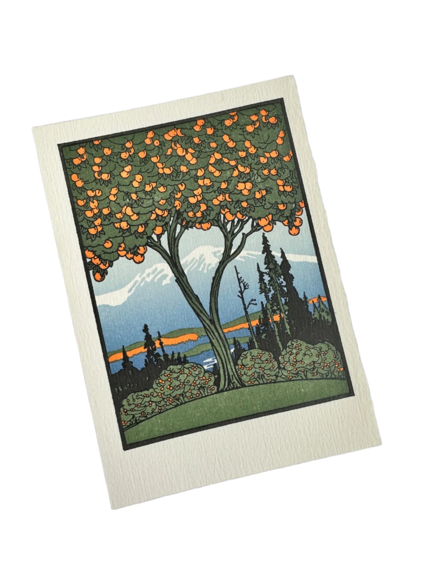 Orange Tree