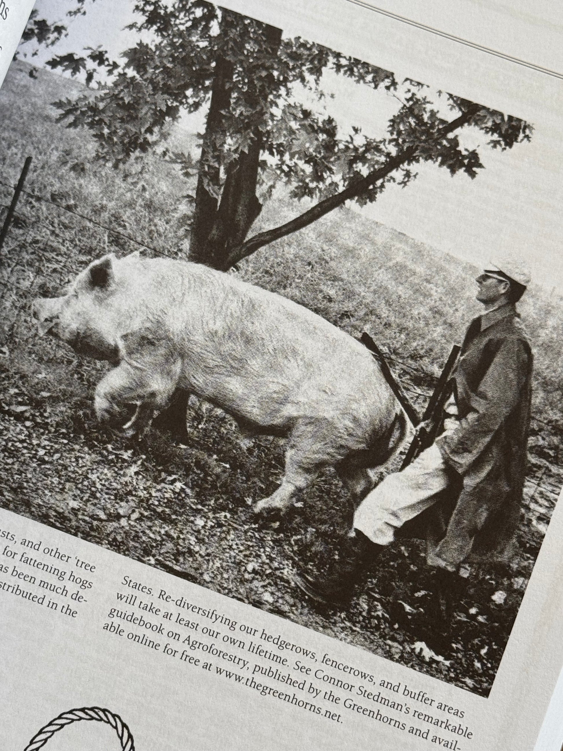 New Farmer's Almanac - Volume II