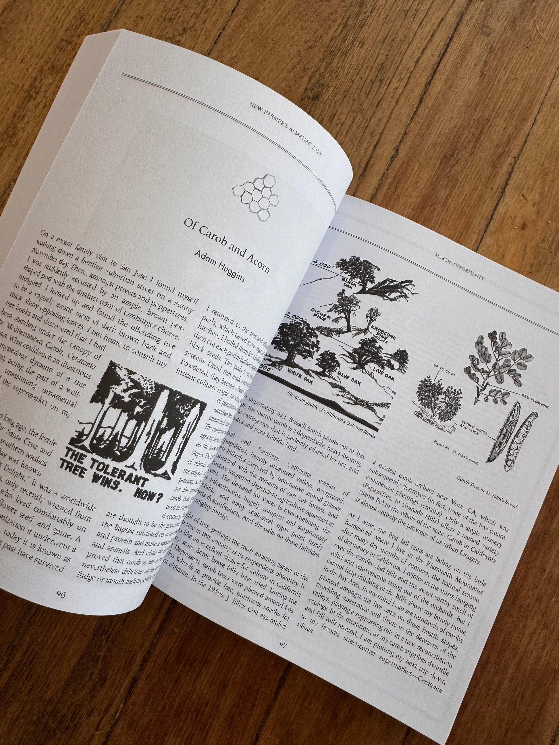 New Farmer's Almanac - Volume II