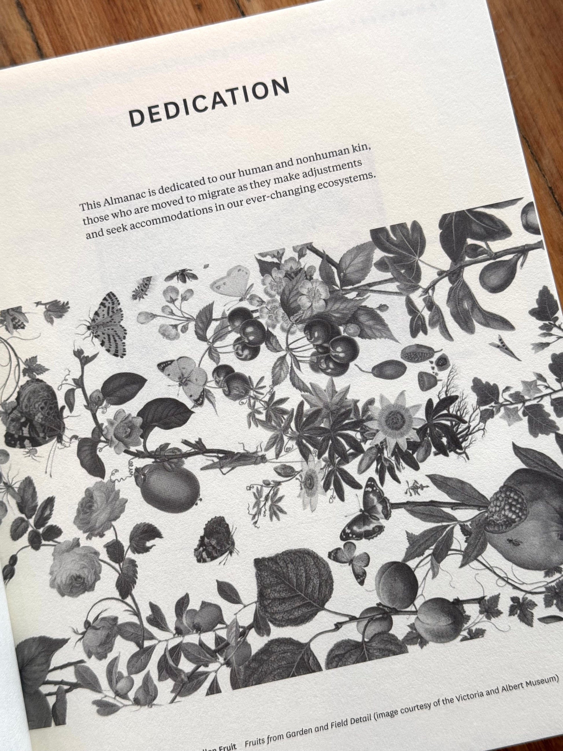 New Farmer's Almanac - Volume VI