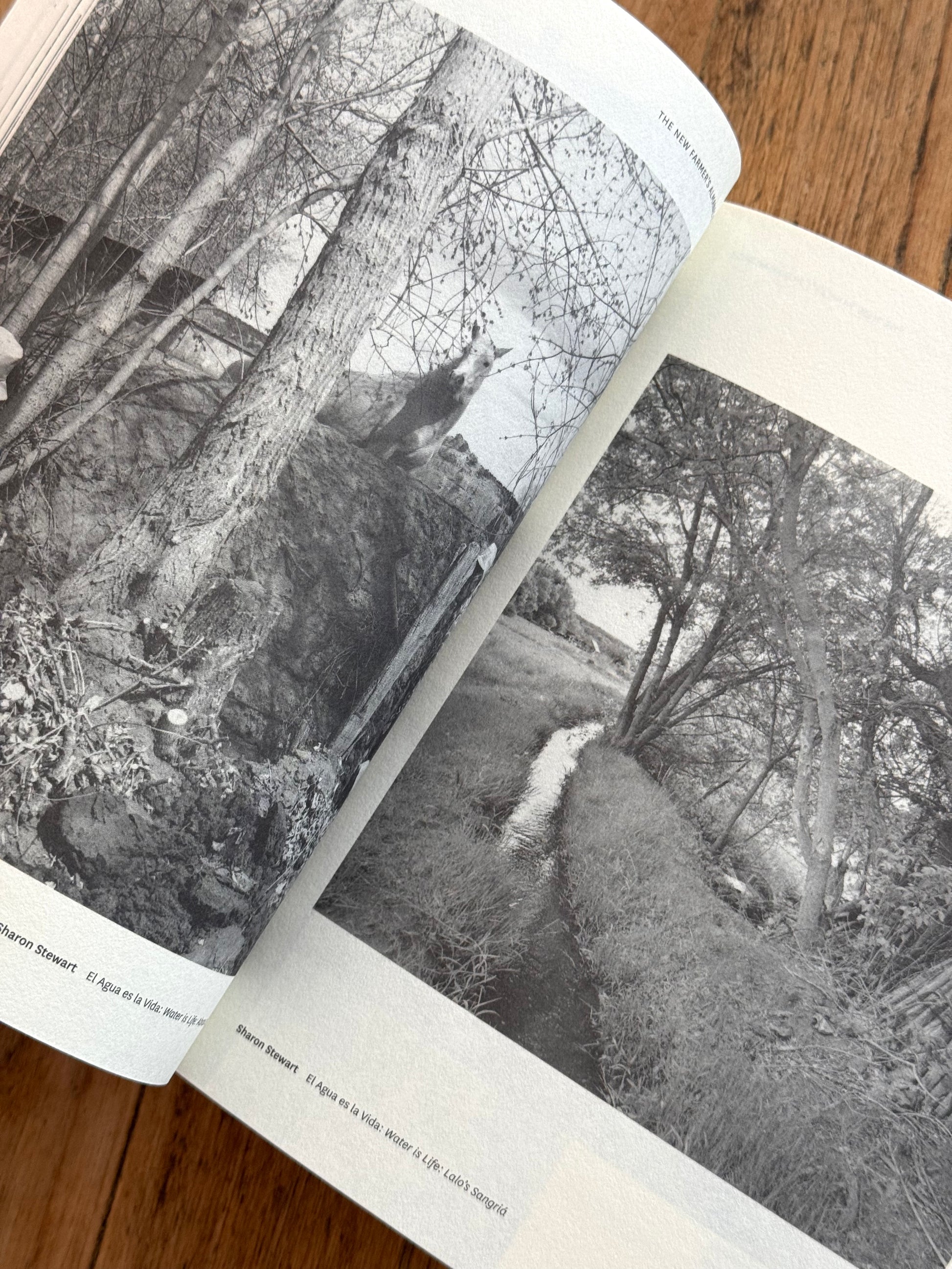 New Farmer's Almanac - Volume VI