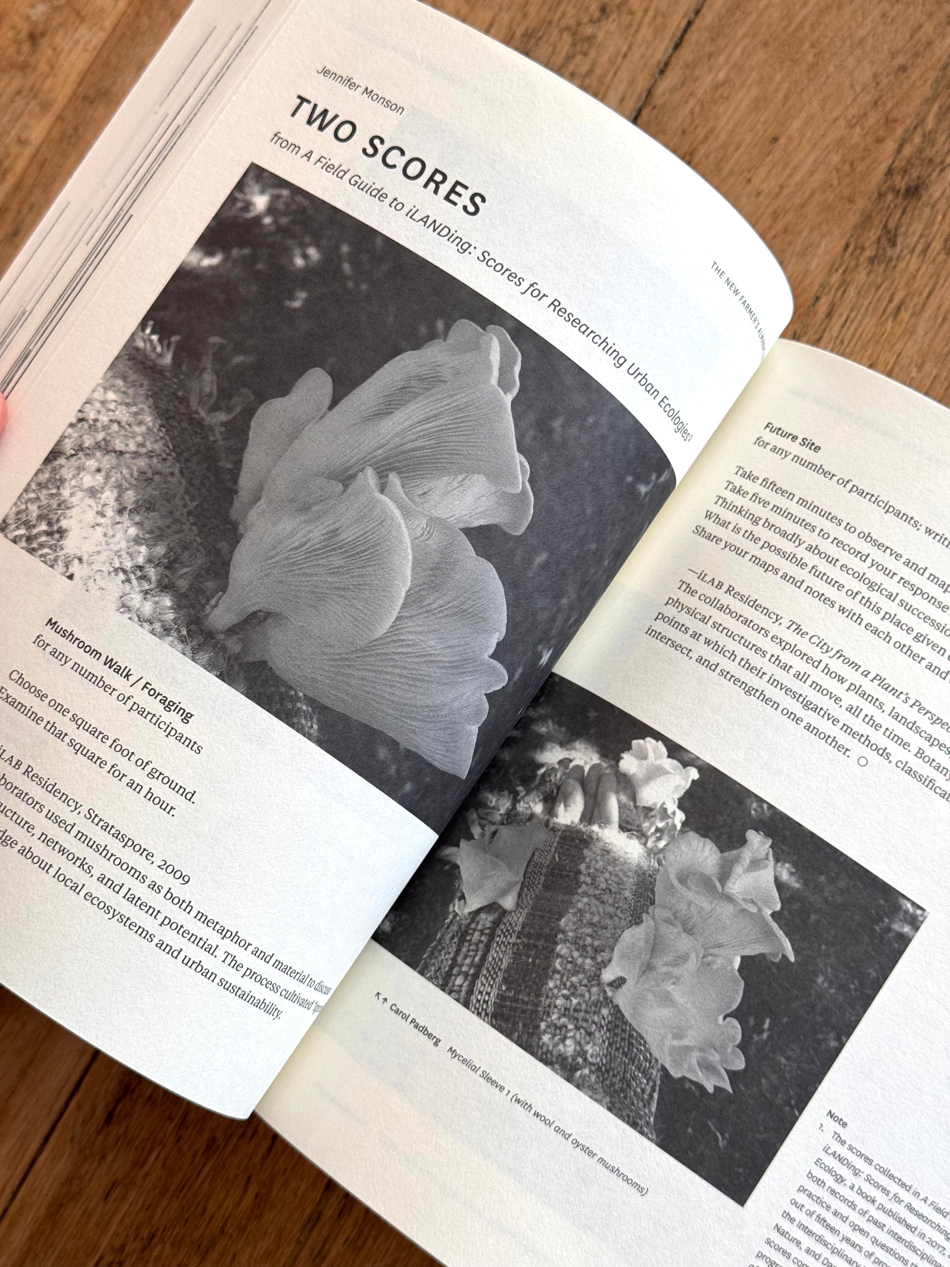 New Farmer's Almanac - Volume VI