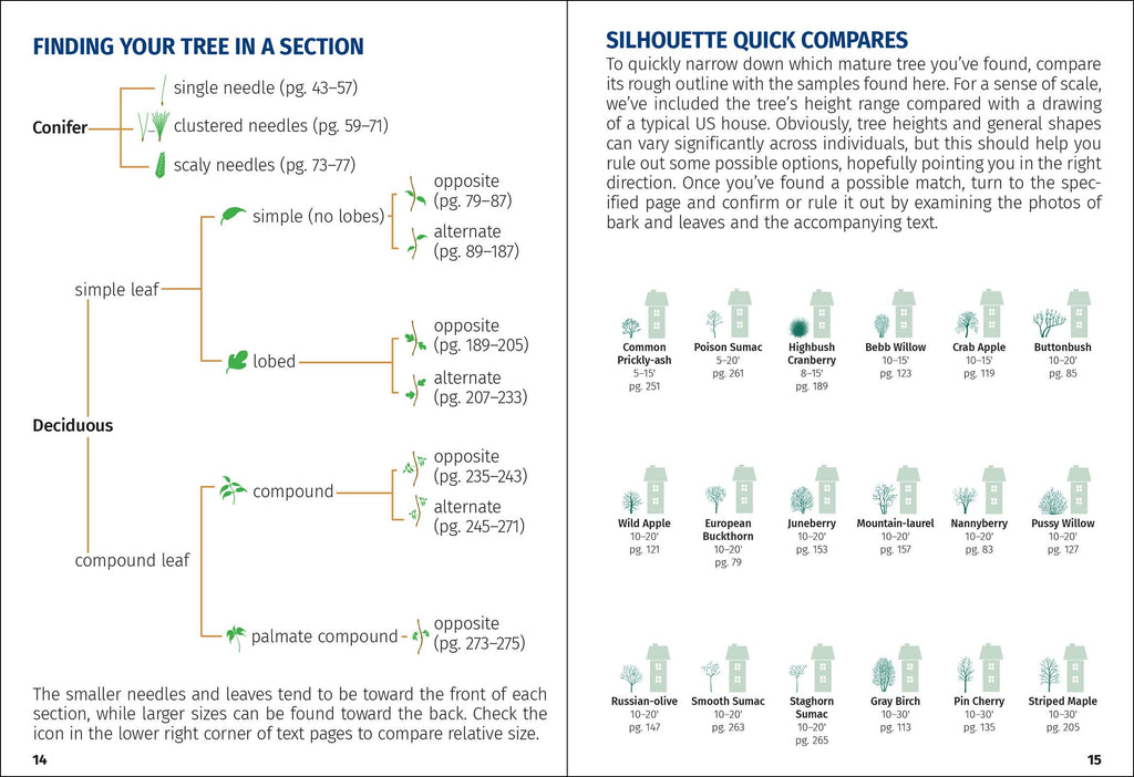 Trees of New England Field Guide
