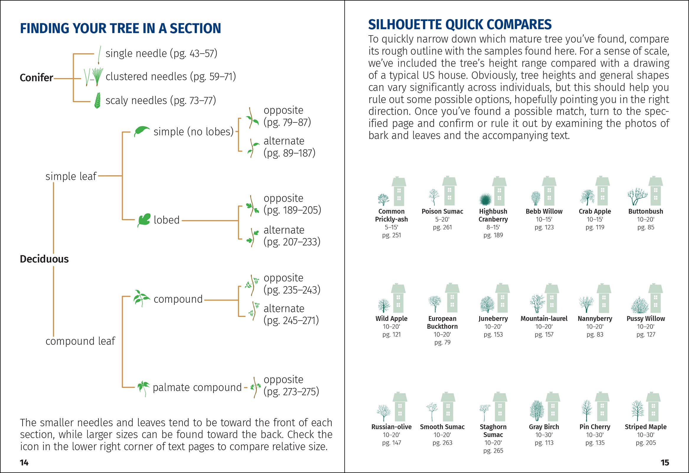 Trees of New England Field Guide