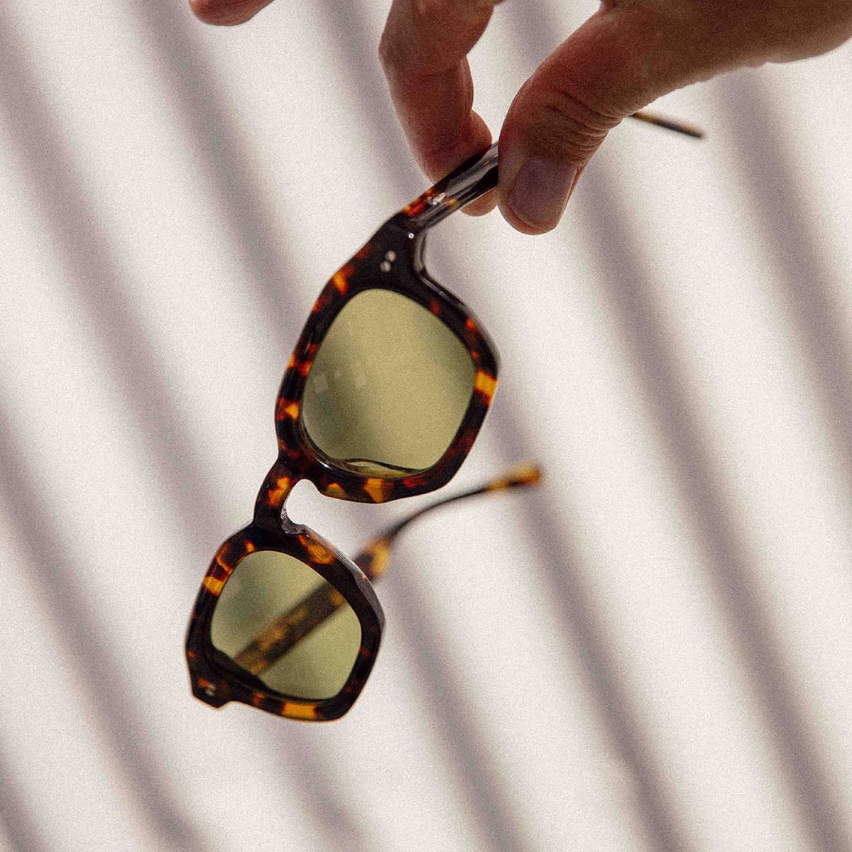 The No Wave - Desert Tortoise Bio Polarized