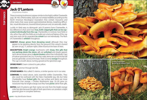Mushrooms of the Northeast