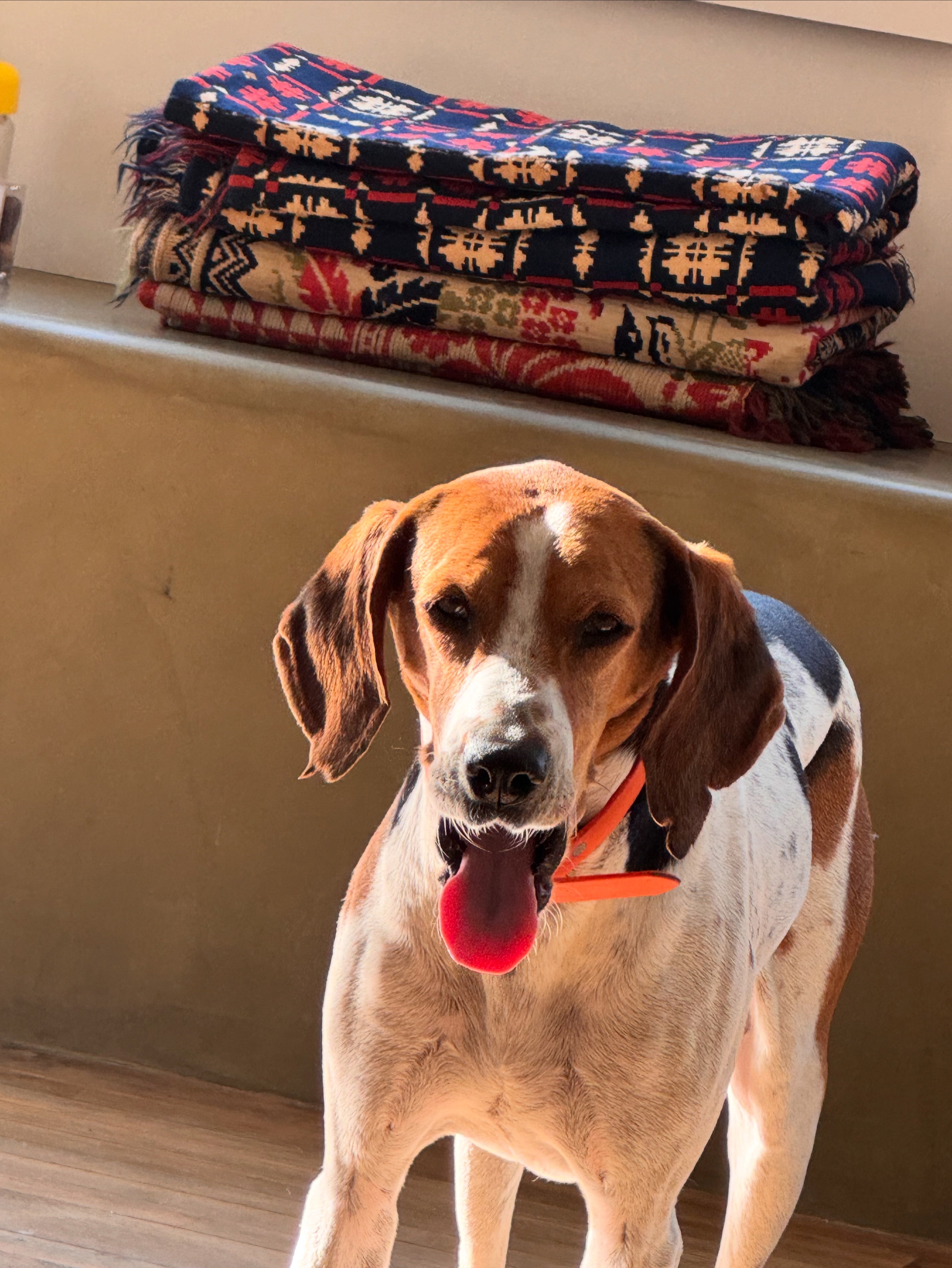 stack of coverlets and Bird-dog