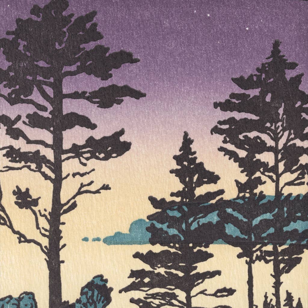 Twilight Sheepscot River