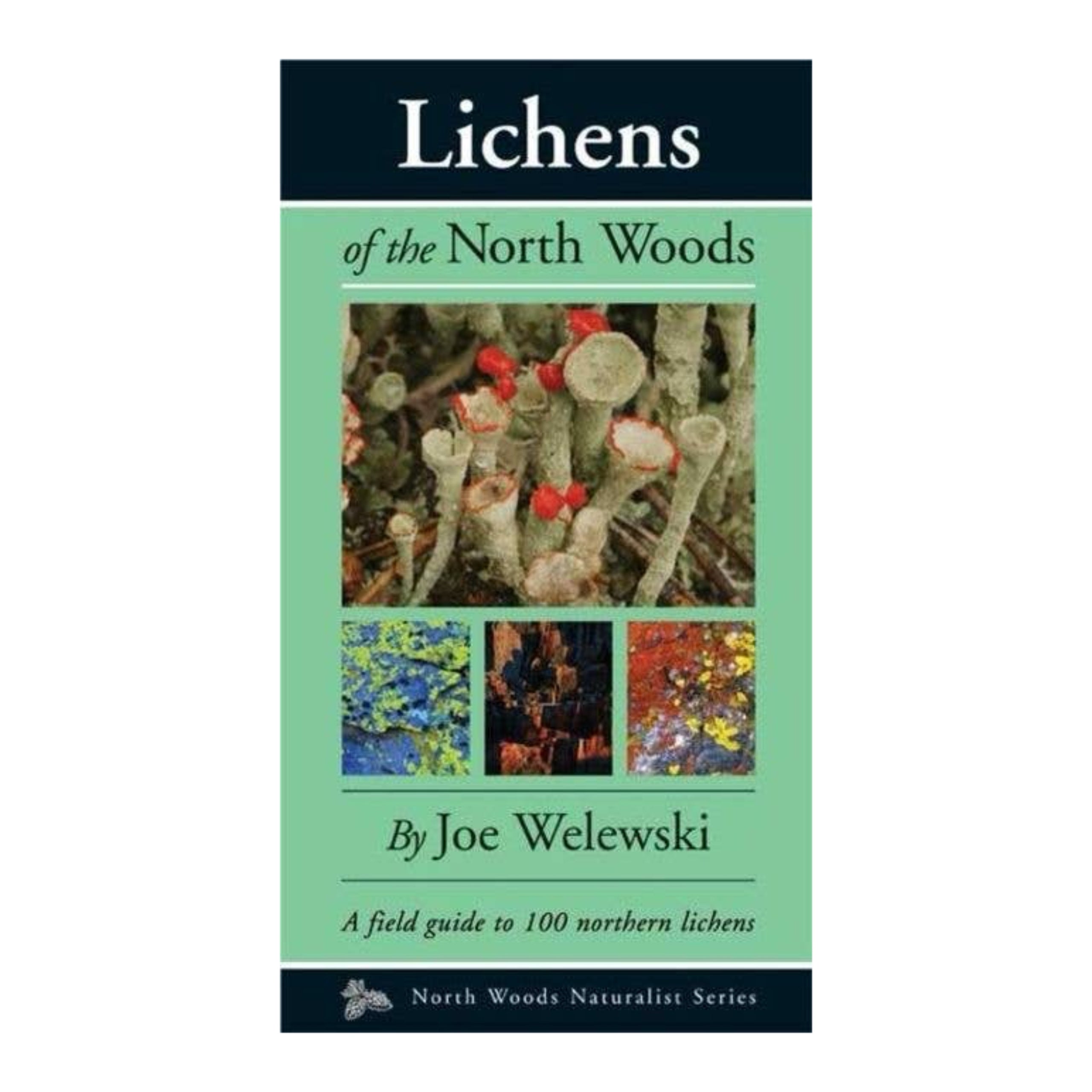Lichens of the North Woods