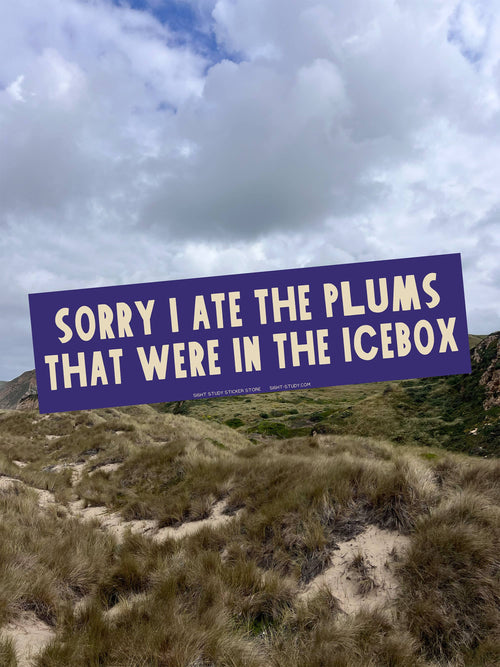 "Sorry I Ate The Plums" Bumper Sticker
