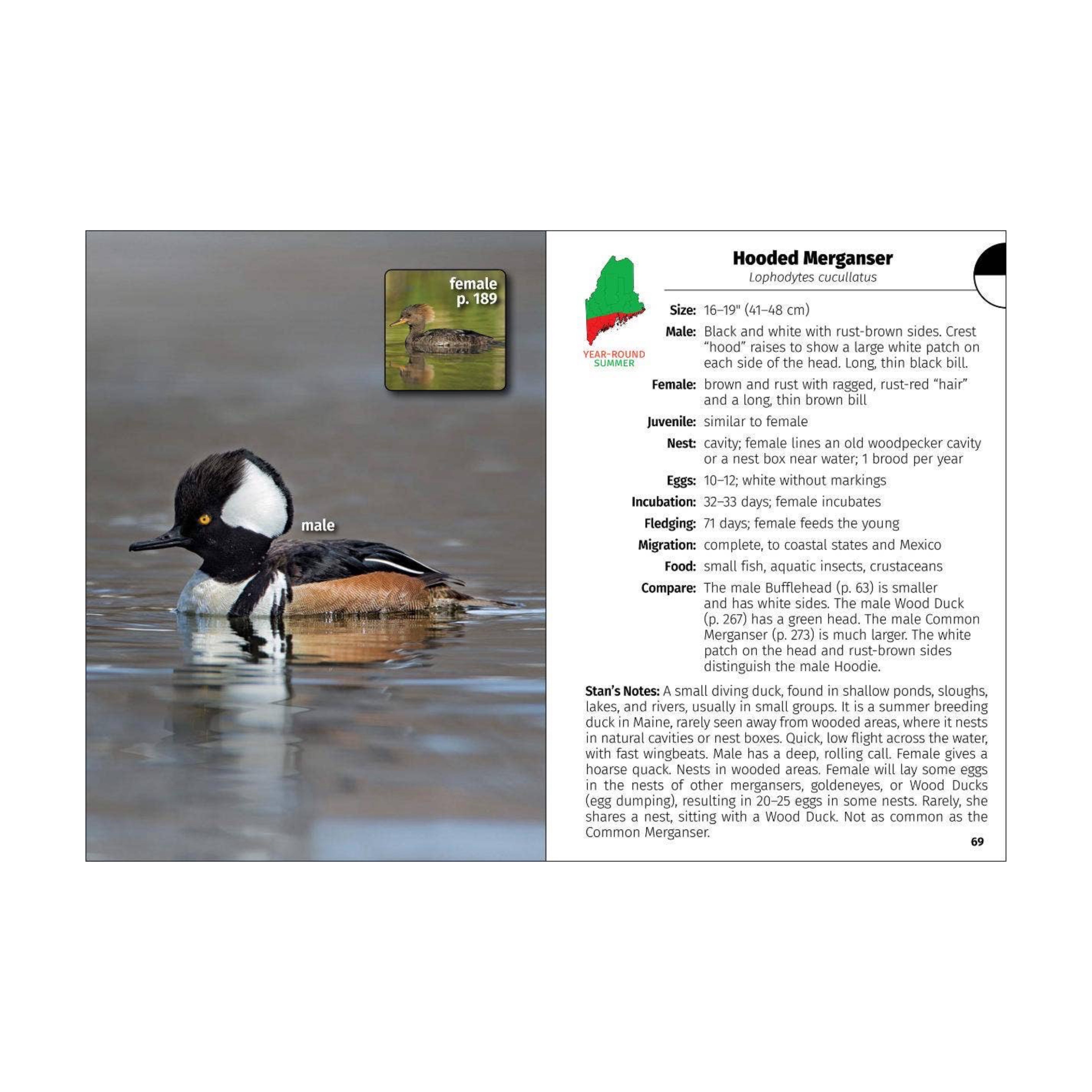 Birds of Maine Field Guide