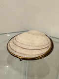 Seashell Box