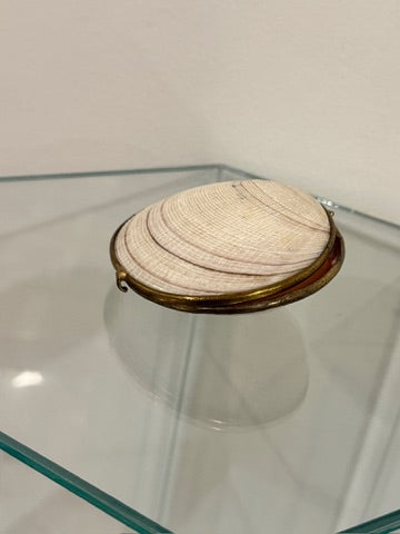 Seashell Box