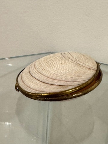 Seashell Box