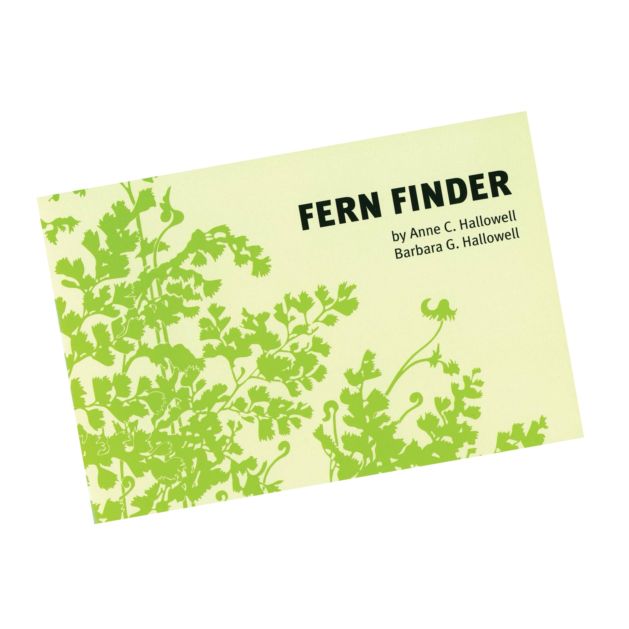 Fern Finder Eastern