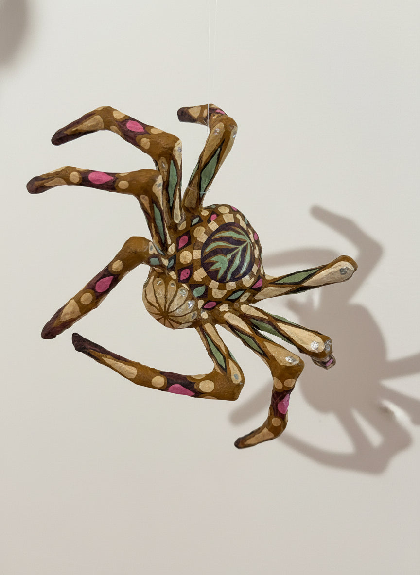 Harlequin Spider