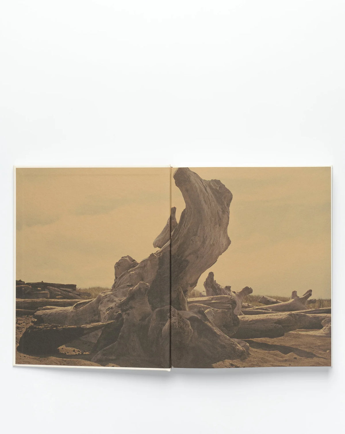 JB Blunk Monograph – Fourth Edition