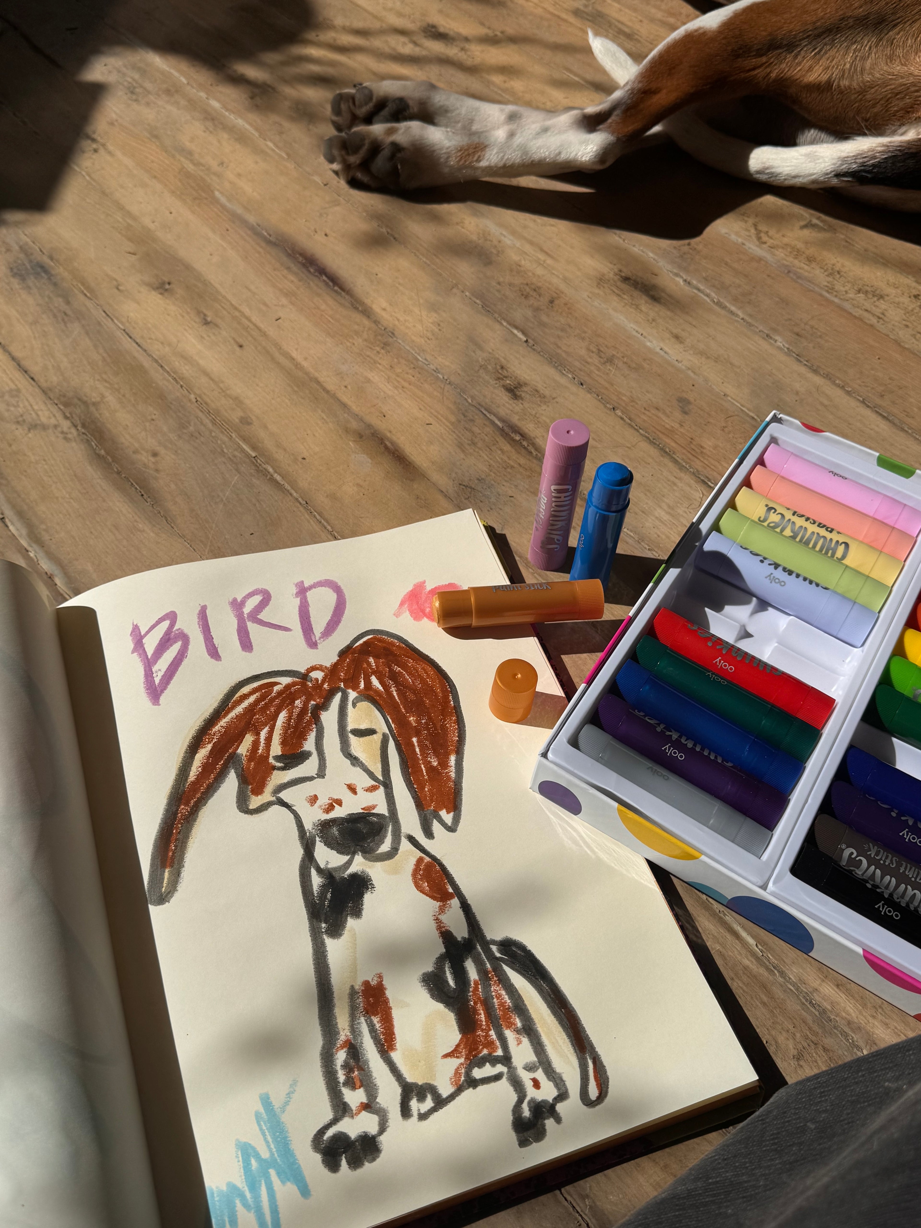 Chunkies Paint Sticks