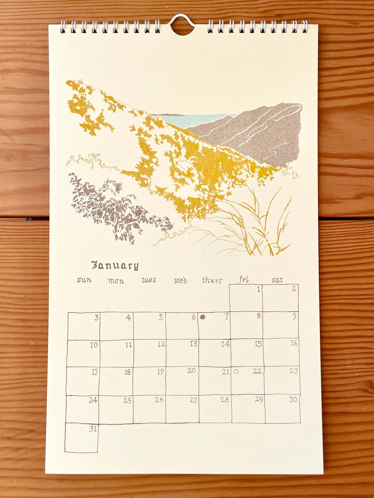 Charlotte Beavers | 2027 Wall Calendar
