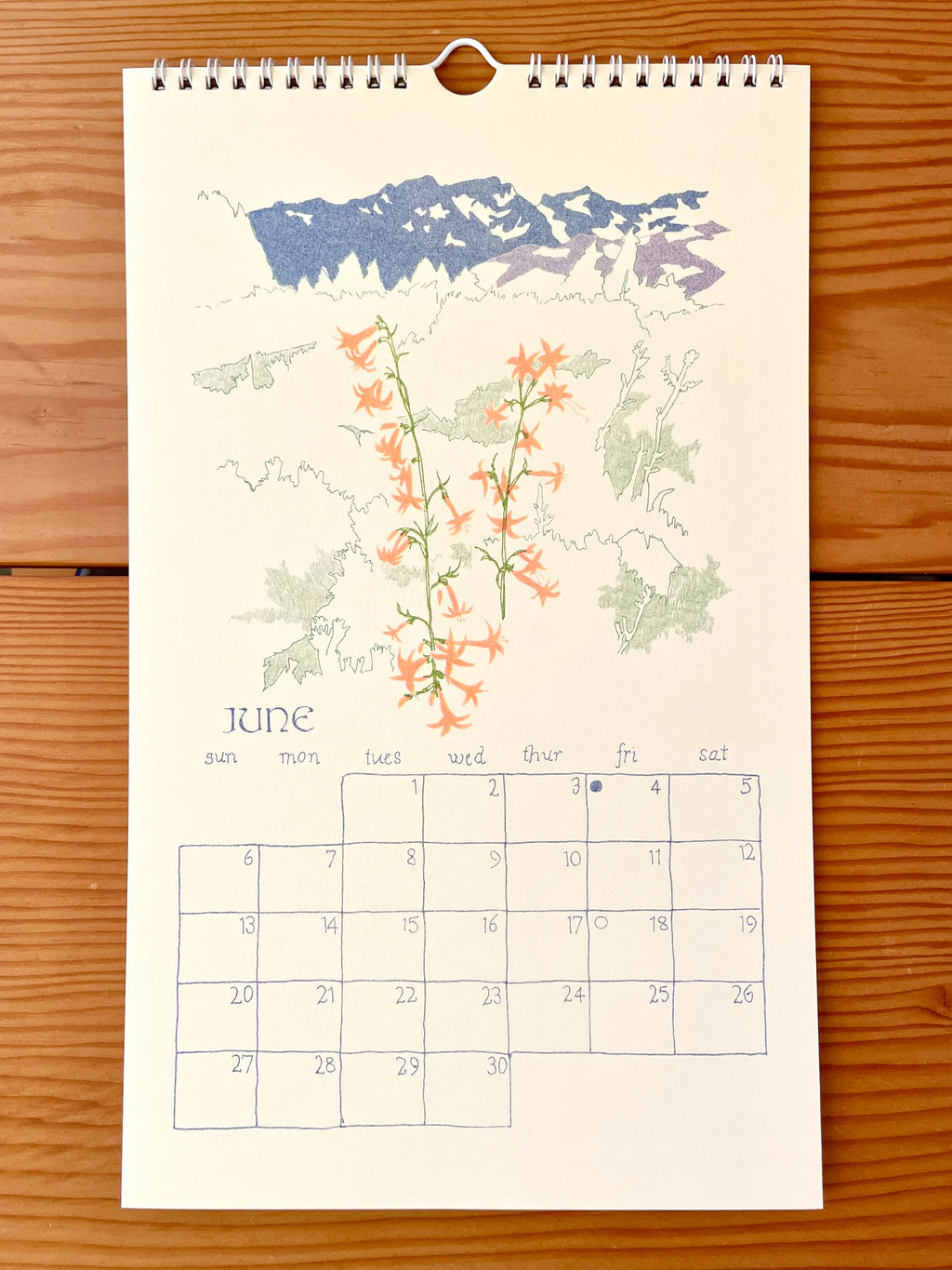 Charlotte Beavers | 2027 Wall Calendar