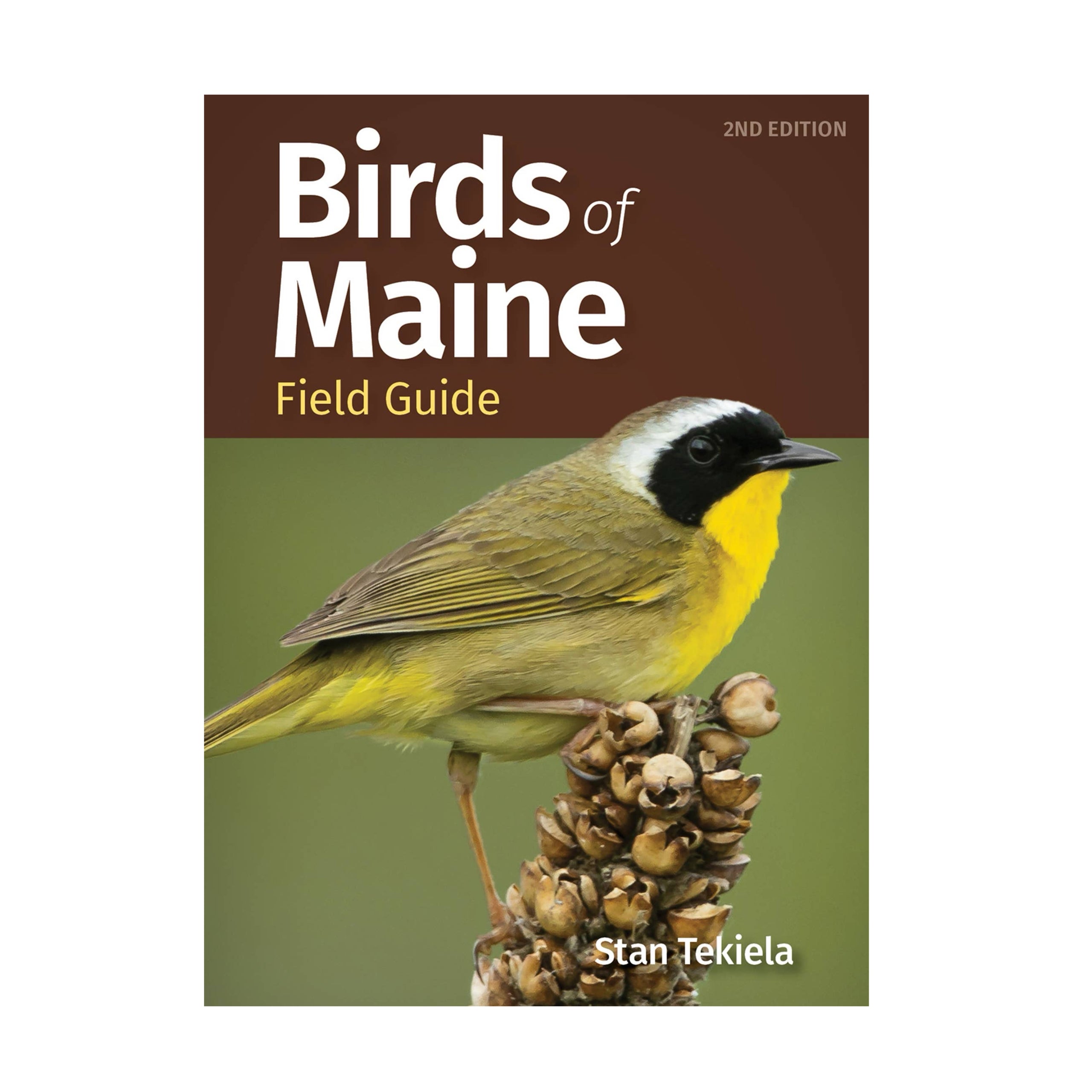 Birds of Maine Field Guide