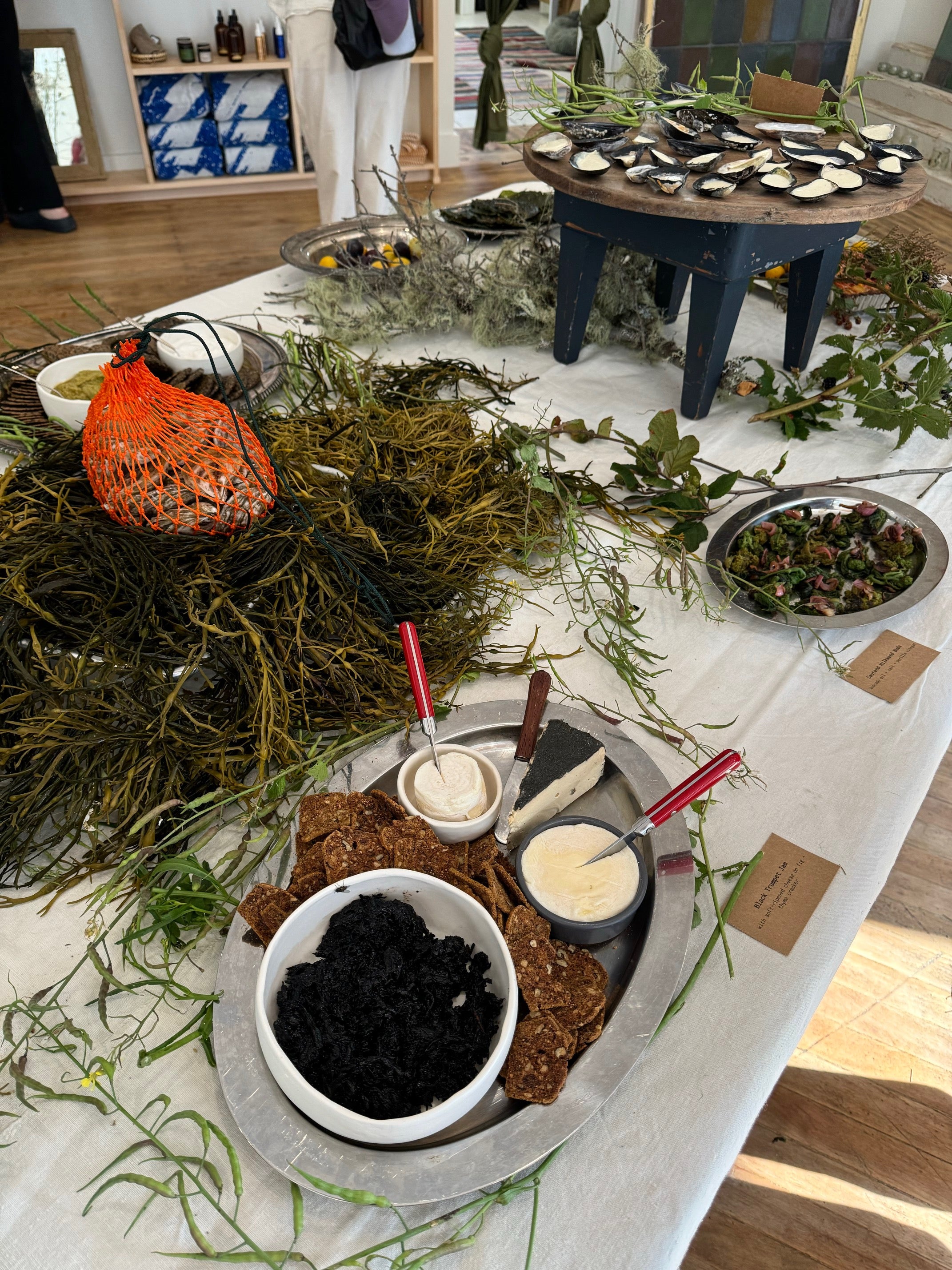 Plant Walk | EAT LIKE A BIRD with Rachel Alexandrou 7/1/25