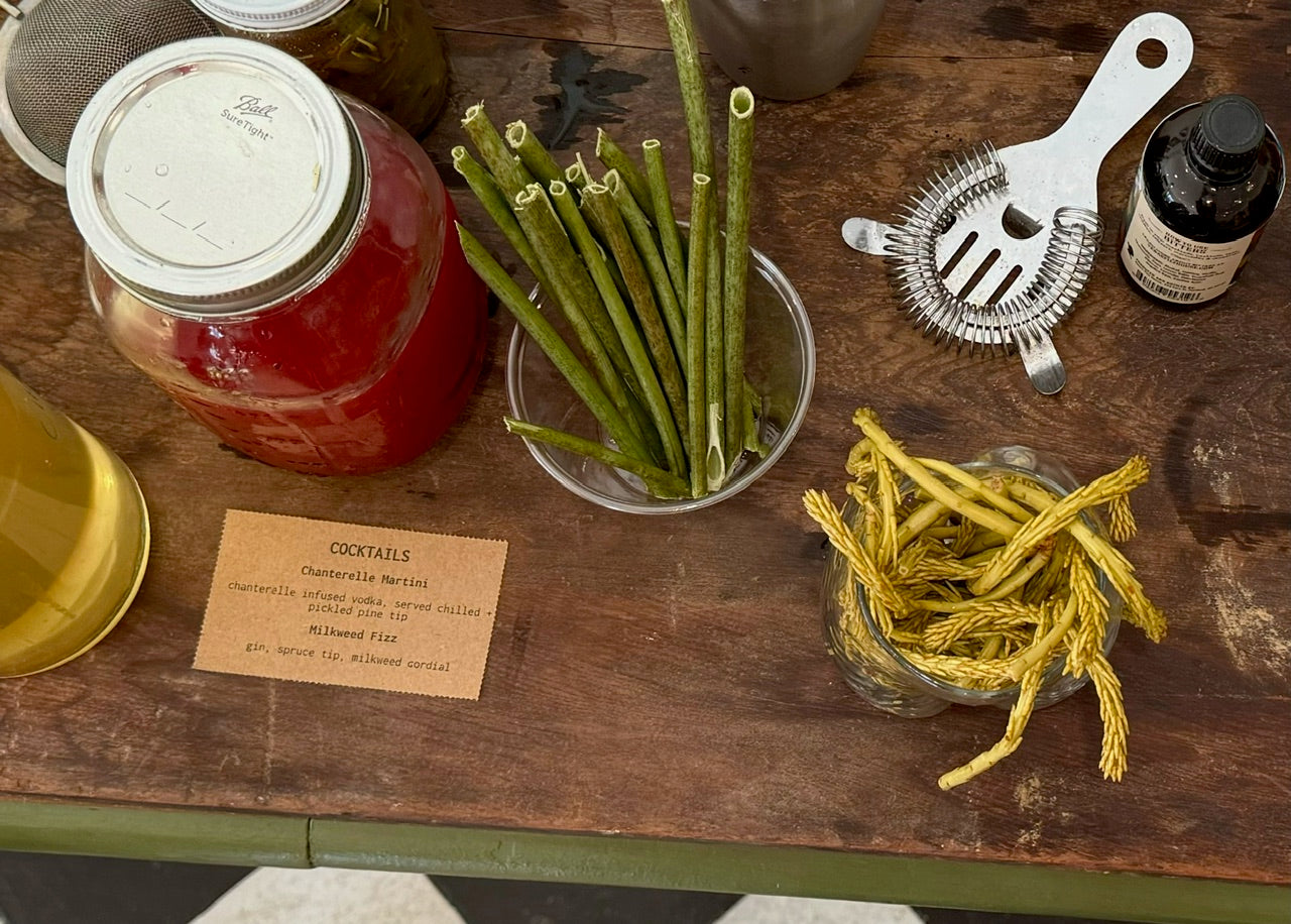 Plant Walk | EAT LIKE A BIRD with Rachel Alexandrou 7/1/25