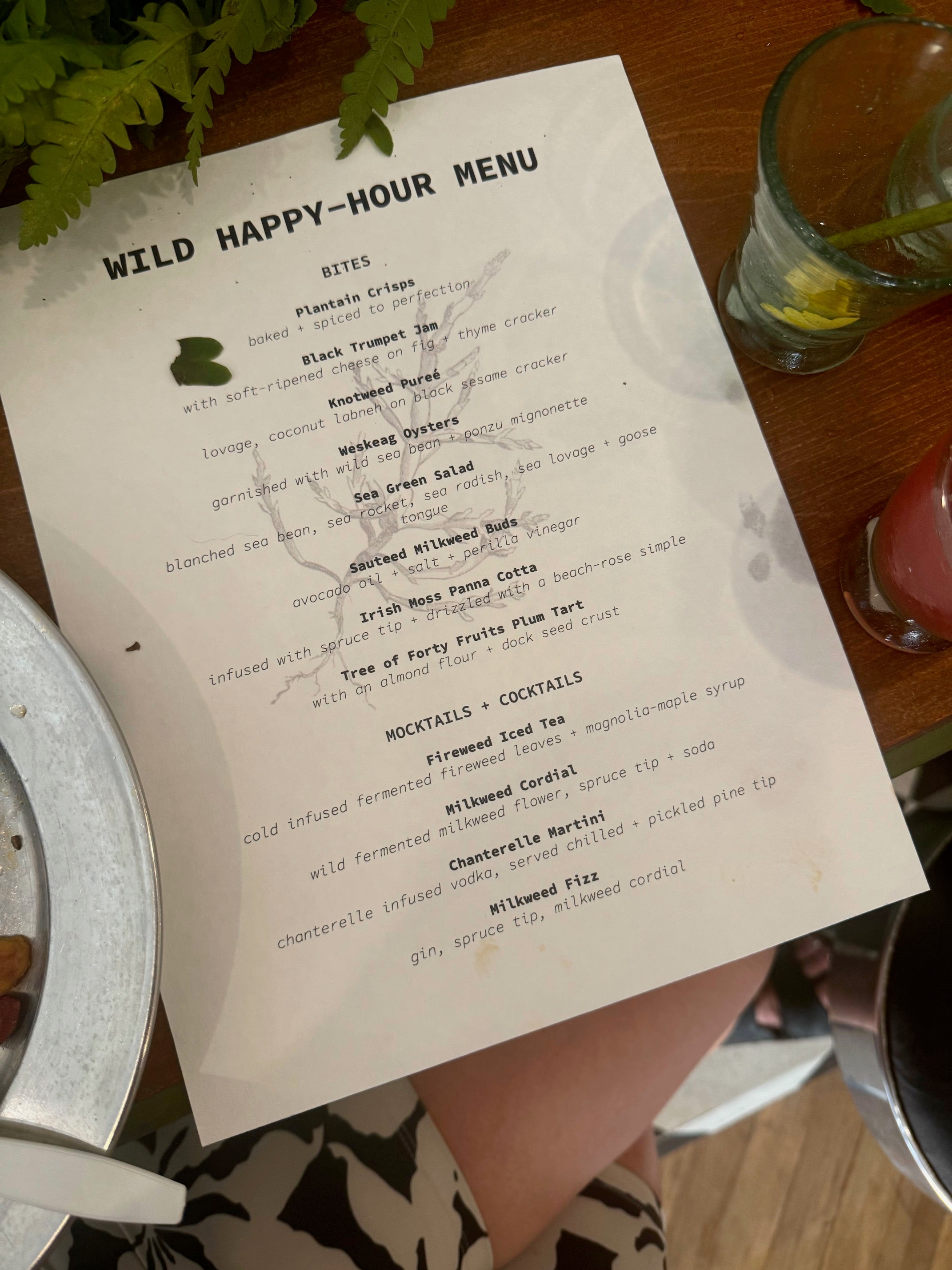 Plant Walk | EAT LIKE A BIRD with Rachel Alexandrou 7/1/25