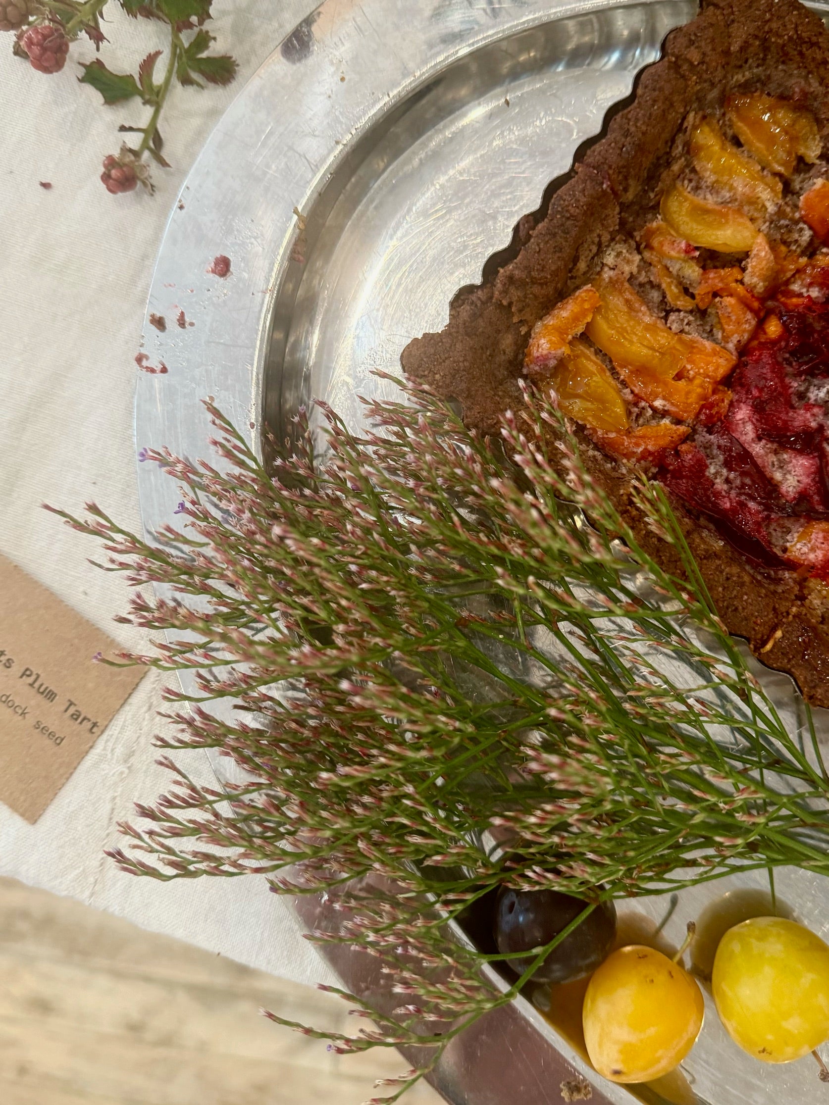 Plant Walk | EAT LIKE A BIRD with Rachel Alexandrou 7/1/25