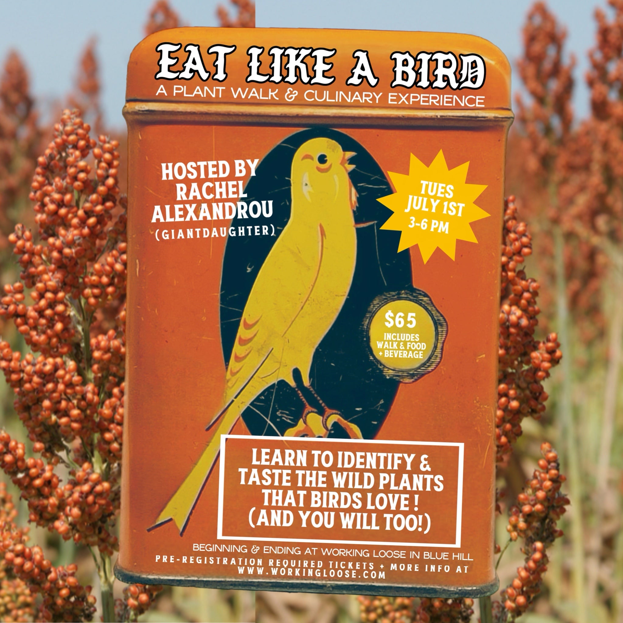 Plant Walk | EAT LIKE A BIRD with Rachel Alexandrou 7/1/25