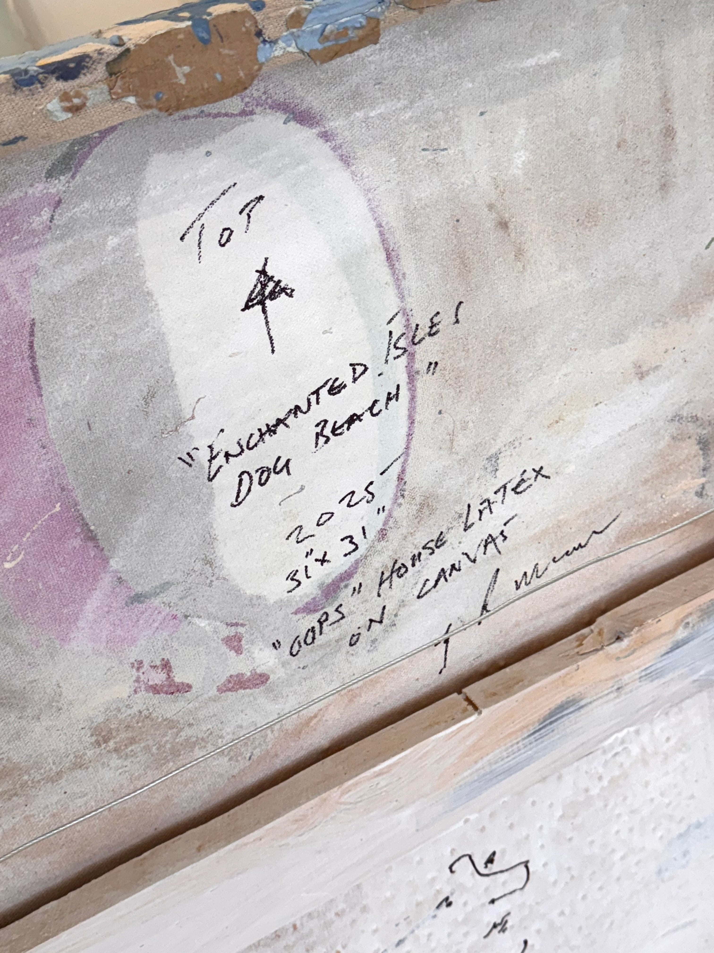 Enchanted Isles Dog Beach