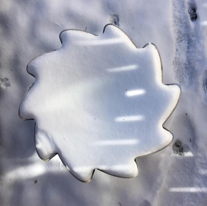 Fire Lily - Portable + Packable Fire Pit