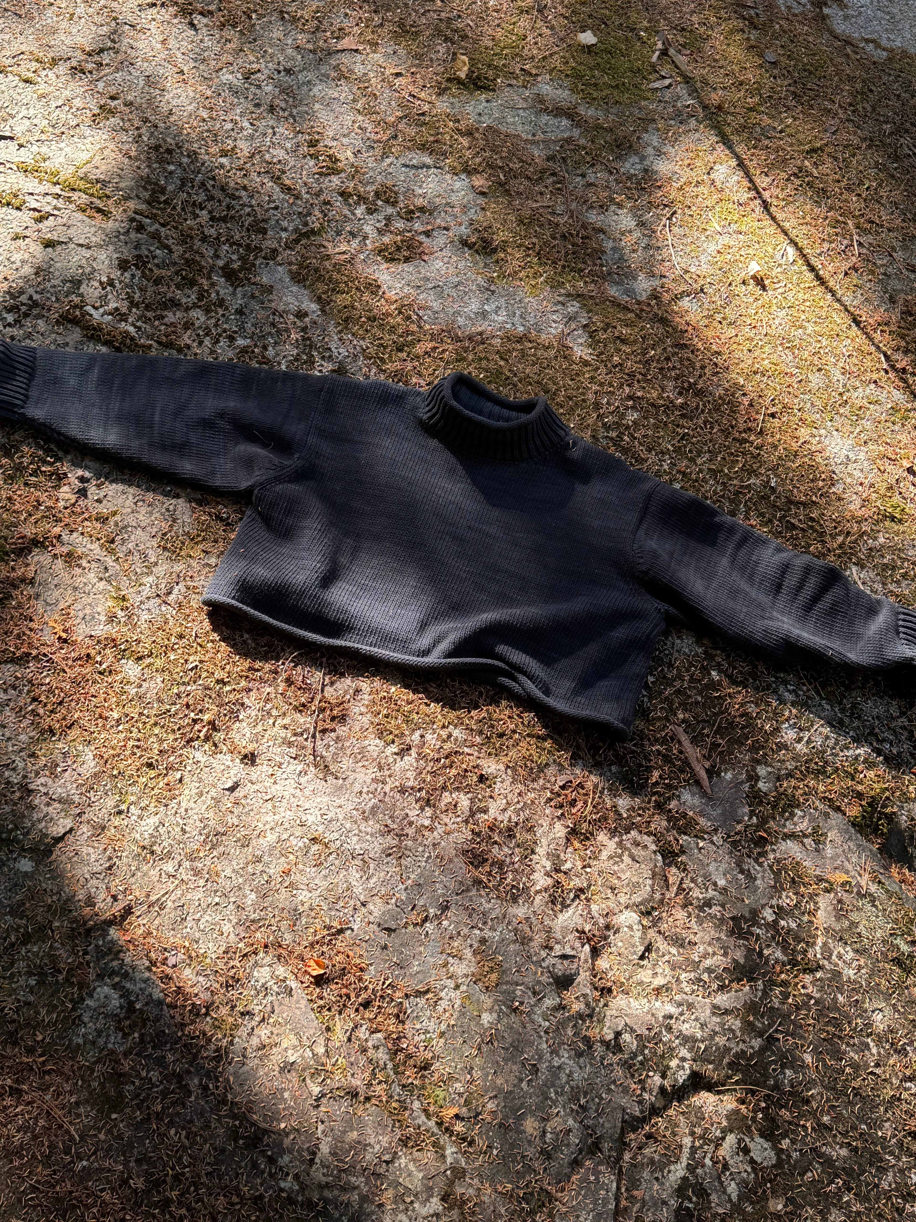 Roll Turtleneck in Navy