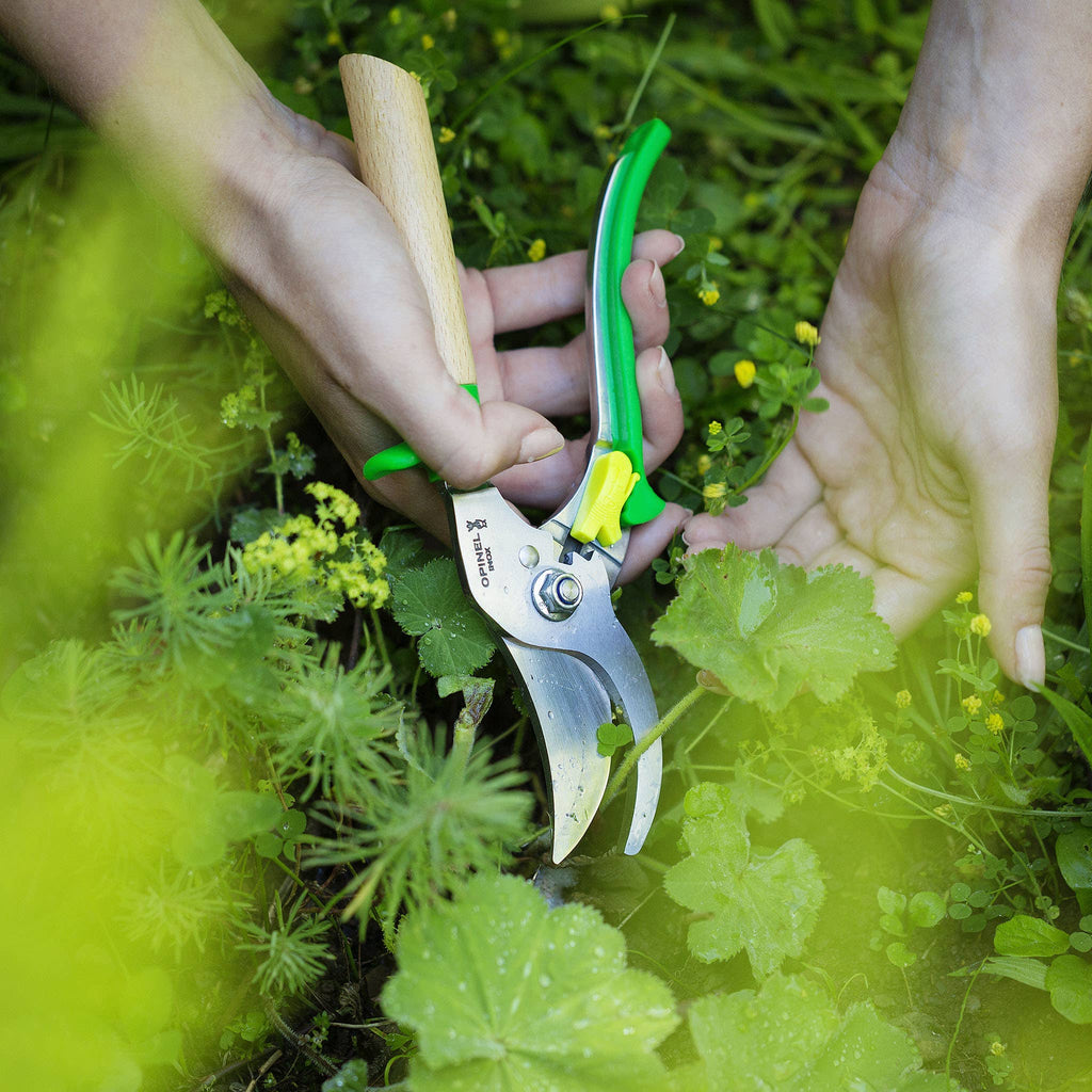 Gardening Shears in Green