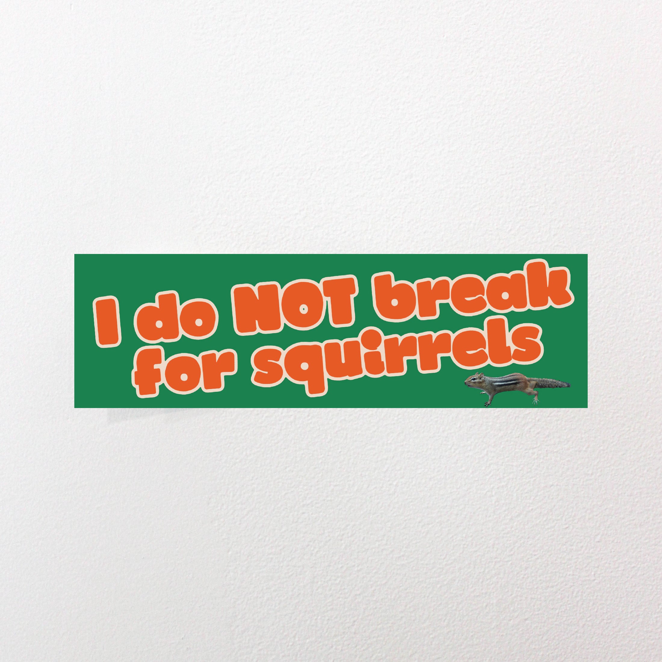 I do NOT Break for Squirrels by Working Loose