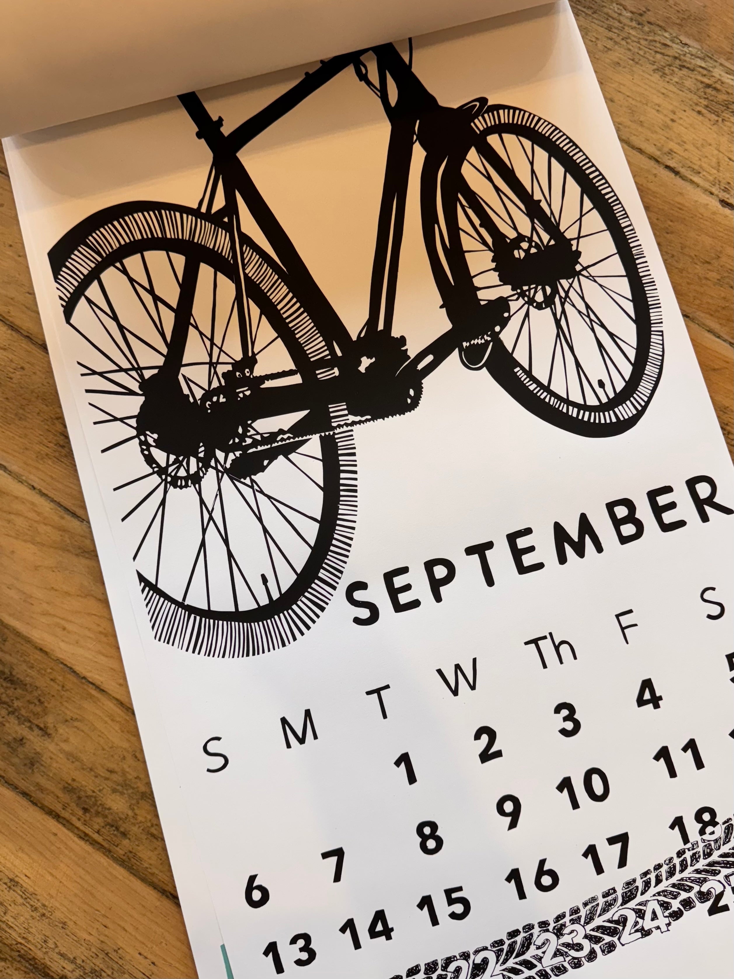 The 2026 Dolphin Studio Calendar - 55th Edition