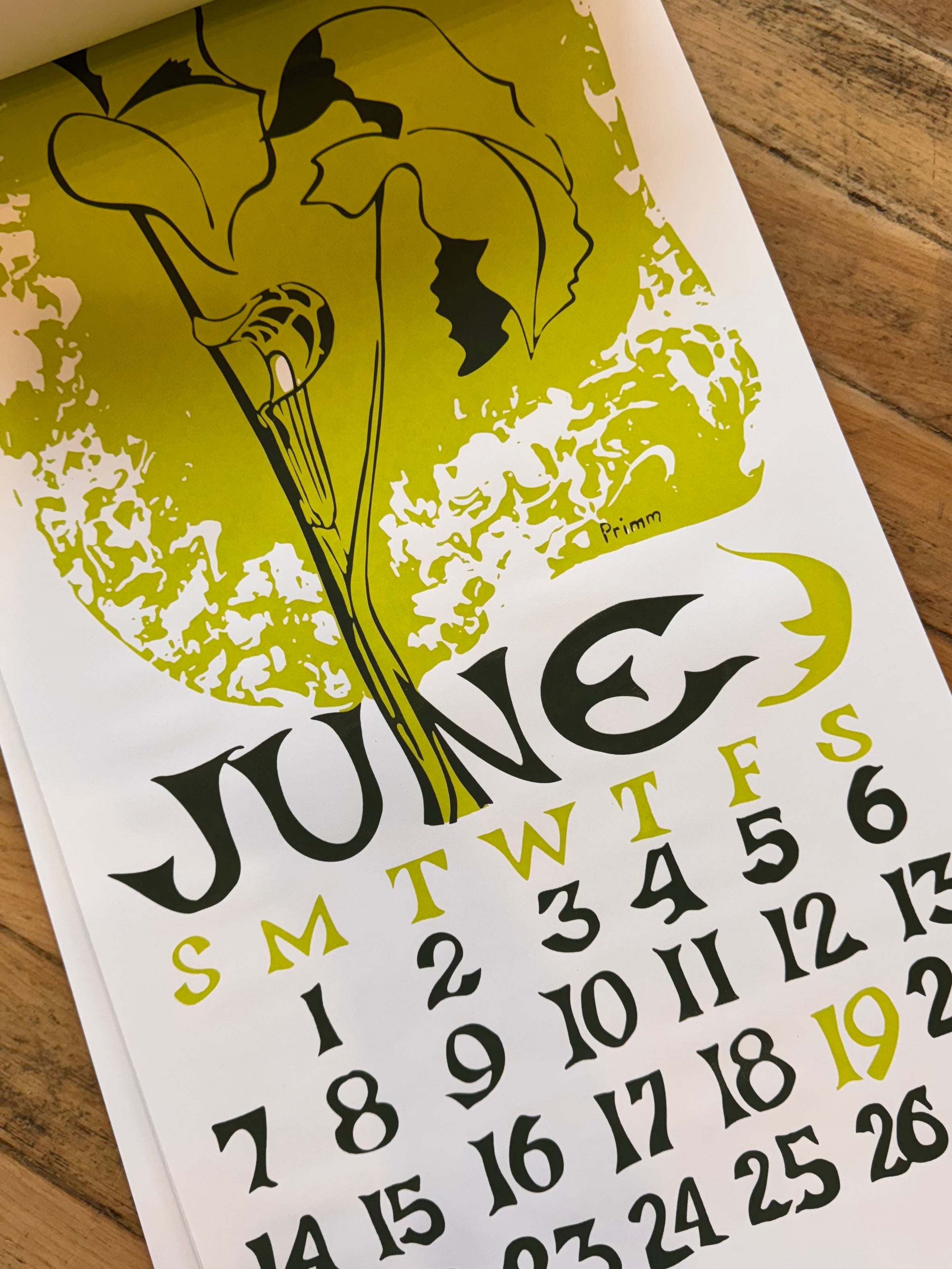 The 2026 Dolphin Studio Calendar - 55th Edition