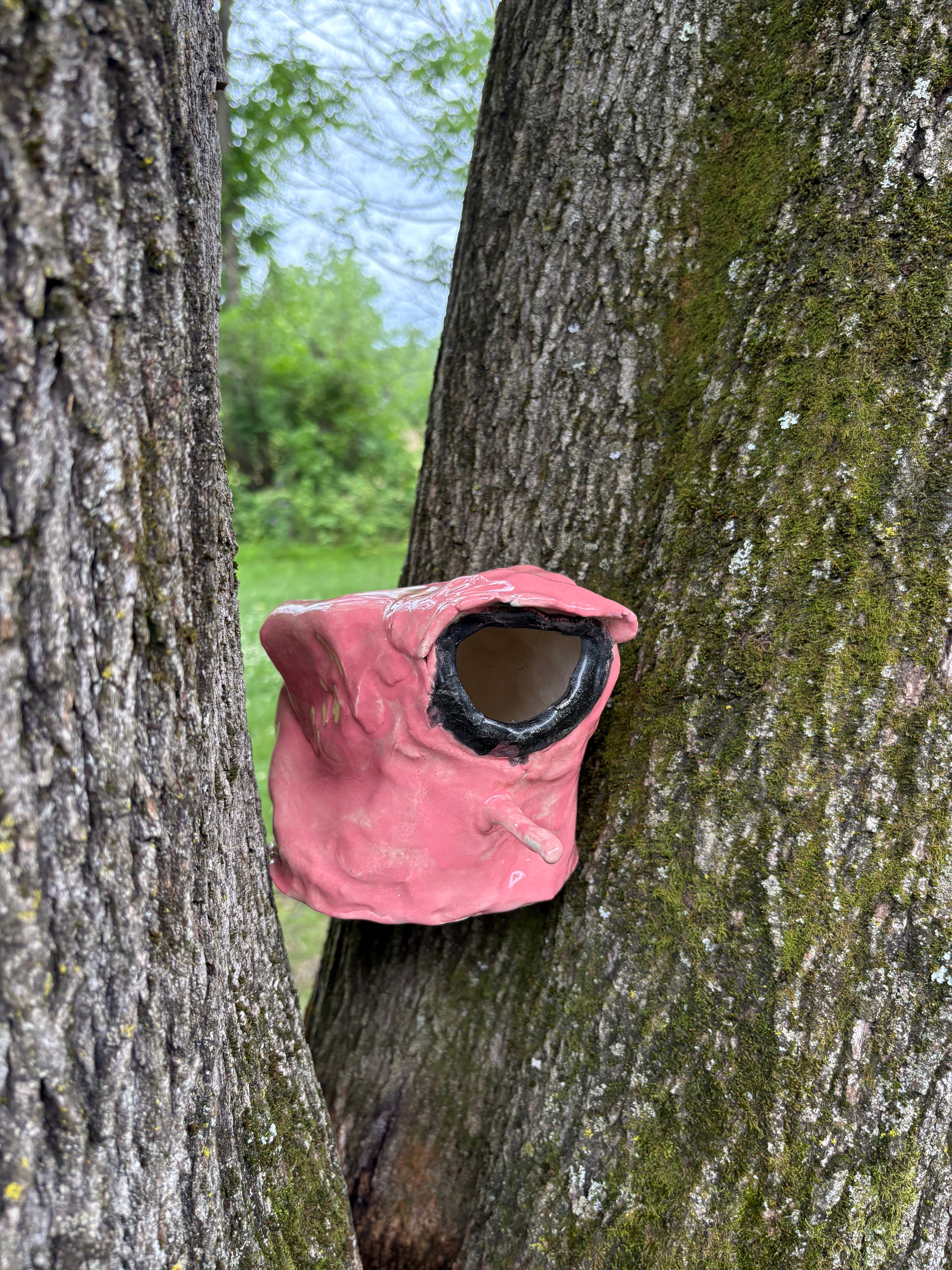 Birdhouse #2 by Jeff Kinkle