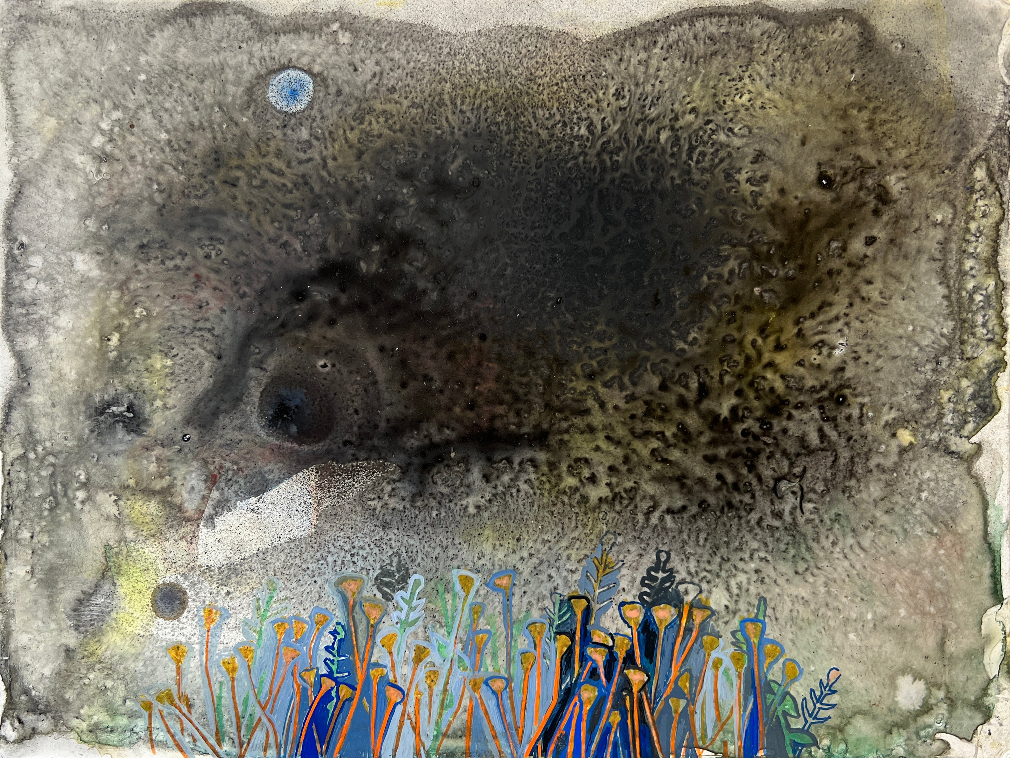 Jennifer Coates | Cosmic Weeds