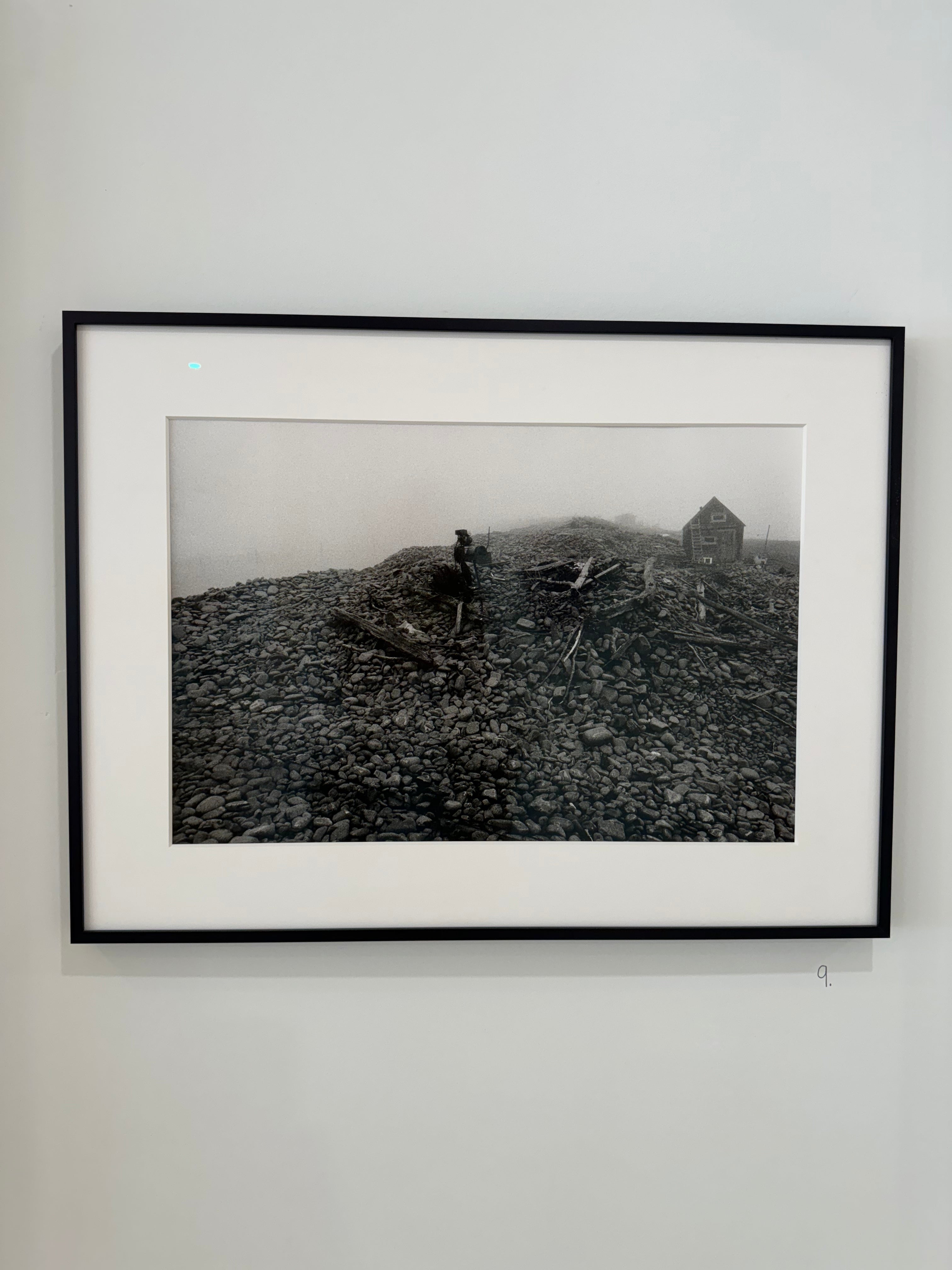 Dulse Cobble Dark Harbour, Grand Manan Island
