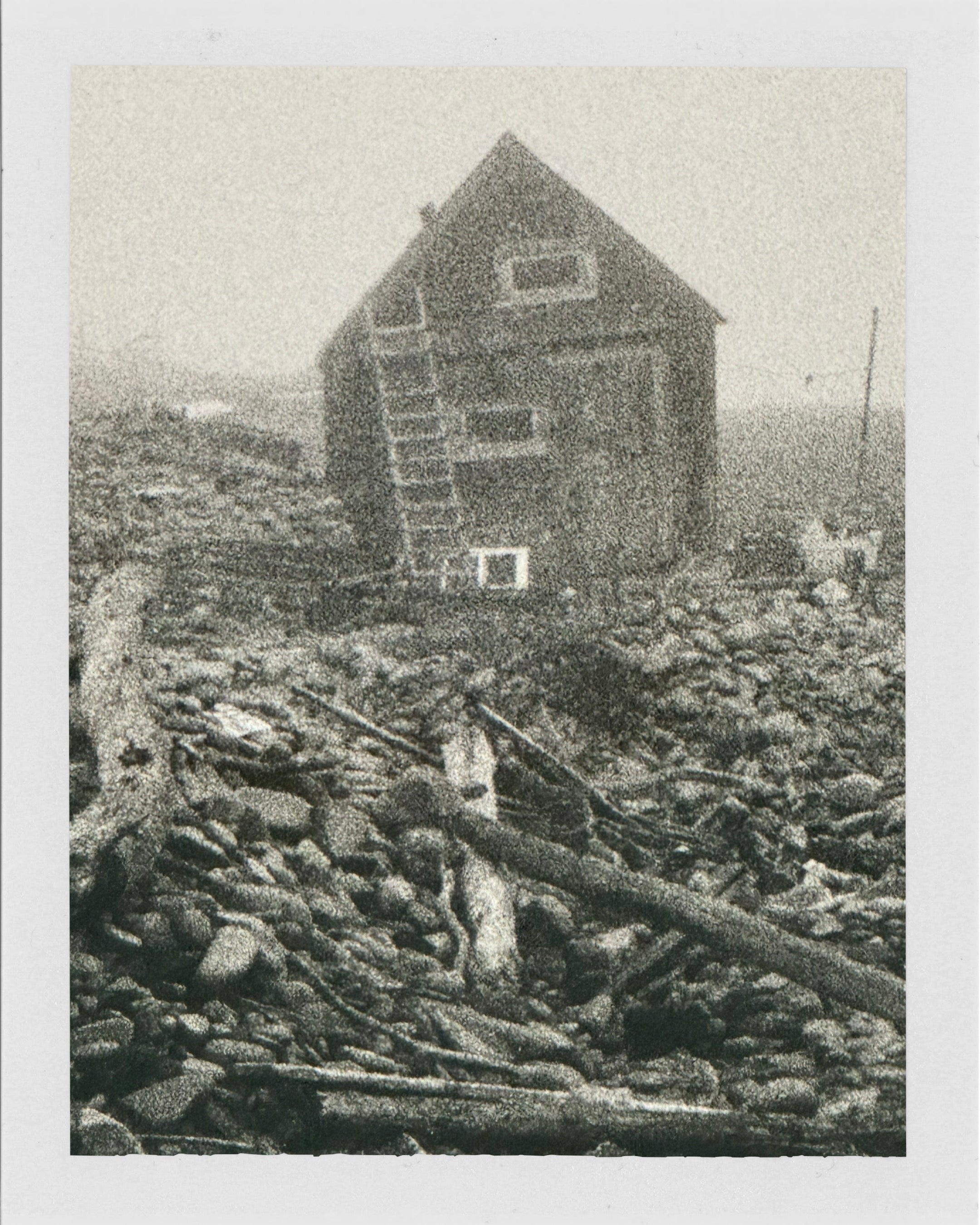 Dulse Cobble Dark Harbour, Grand Manan Island