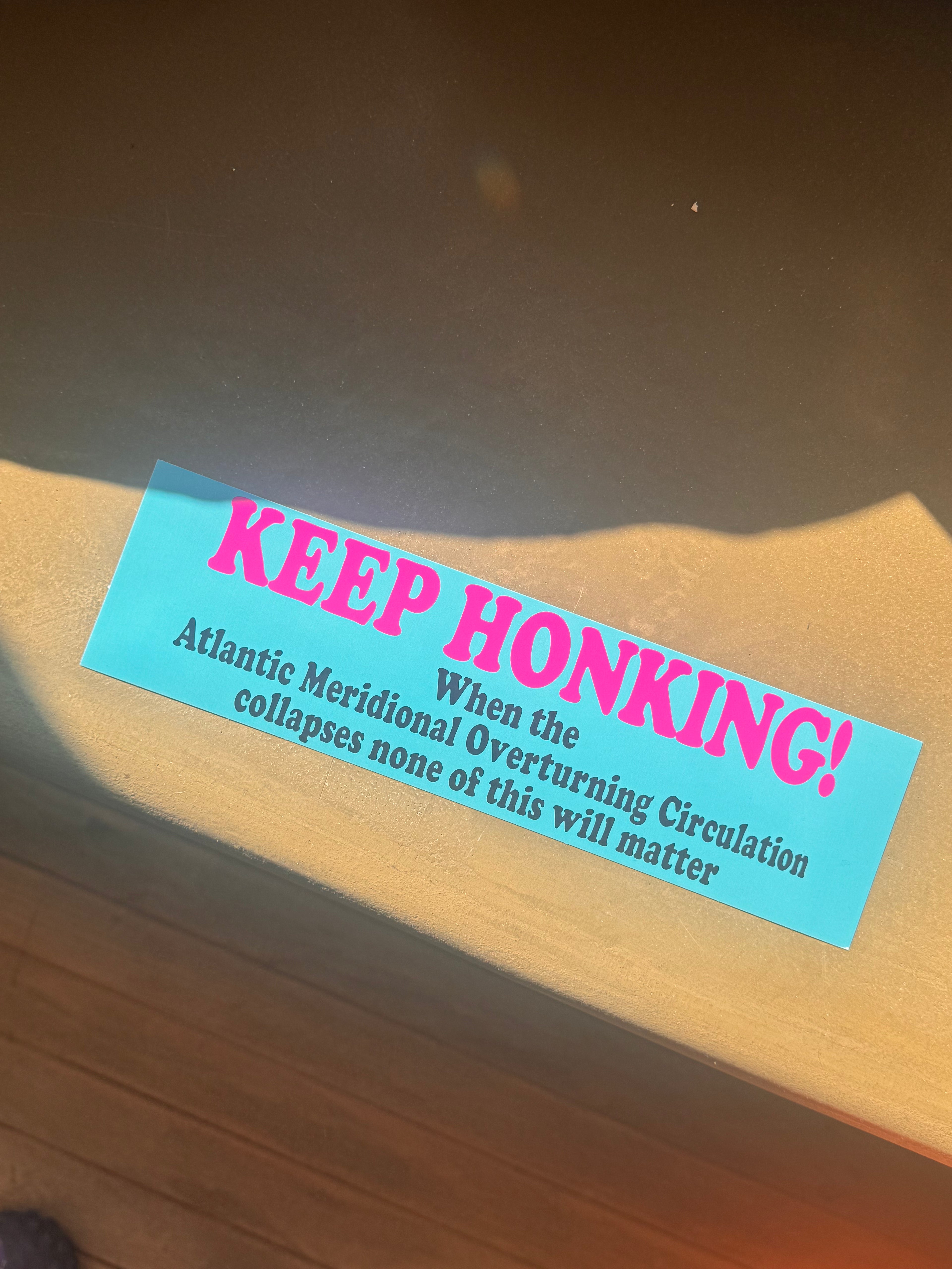 Keep Honking, When the Atlantic Meridional Overturning Circulation collapses none of this will matter