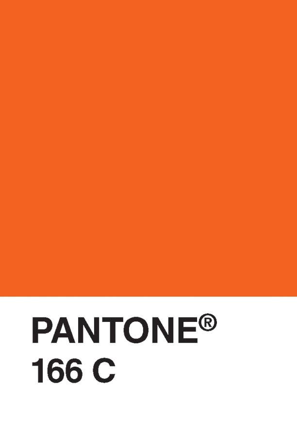 Pantone Postcard Box - Set of 100