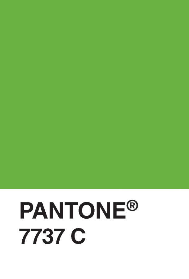 Pantone Postcard Box - Set of 100