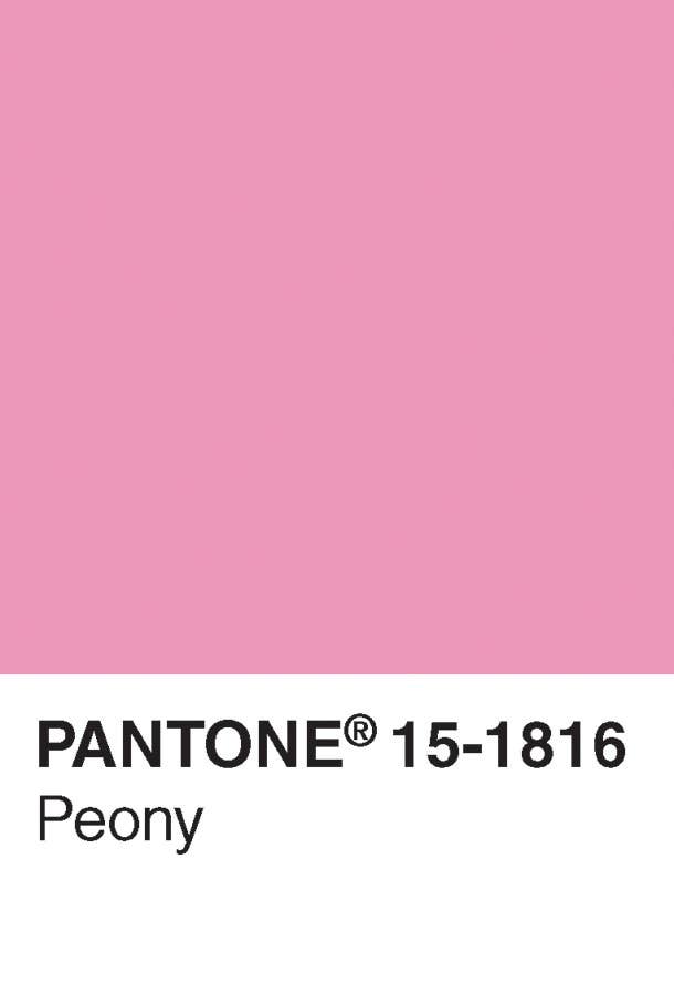 Pantone Postcard Box - Set of 100