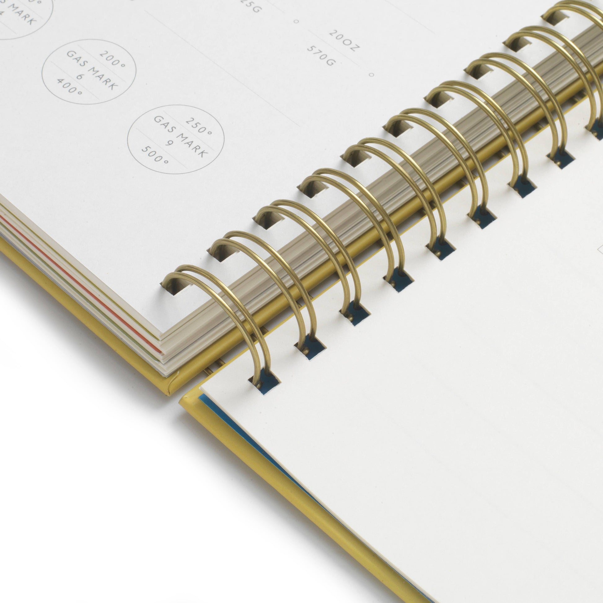 Hanging Fruits Spiral Recipe Journal