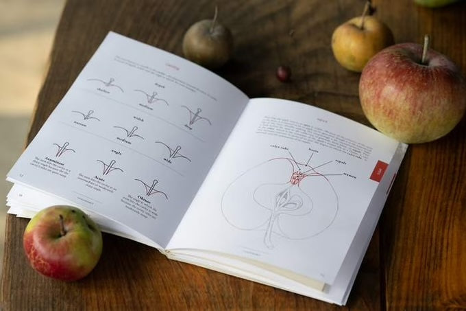 Practical Pomology: A Field Guide