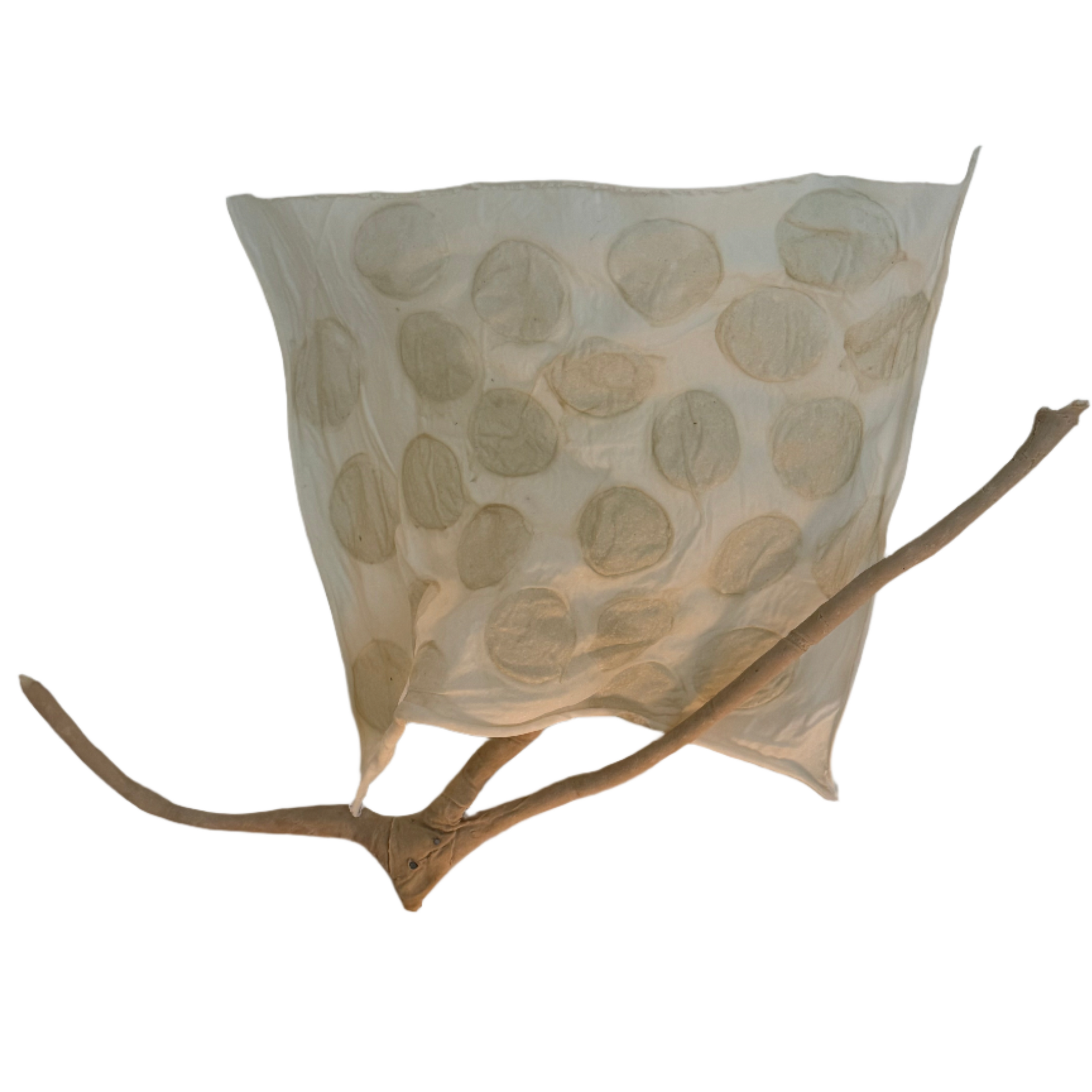 The Dude a.k.a. Hermon