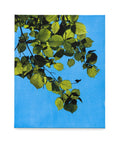 Rebecca Partridge | Day Trees (WG IV)